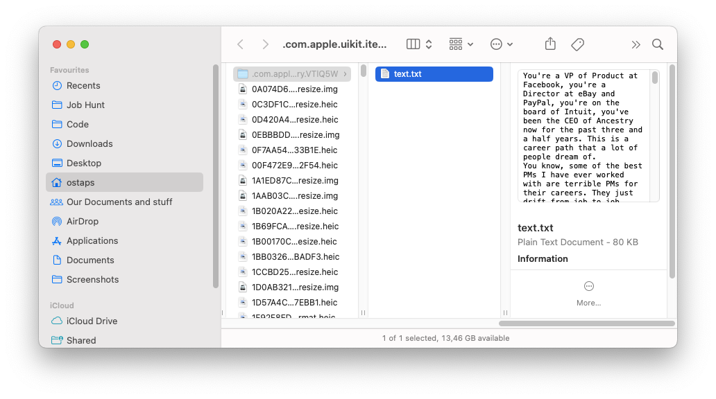 Text File in Finder